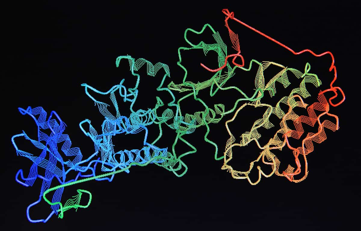 Protein Folding and Function